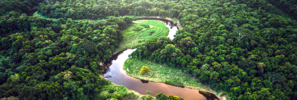 Río Amazonas