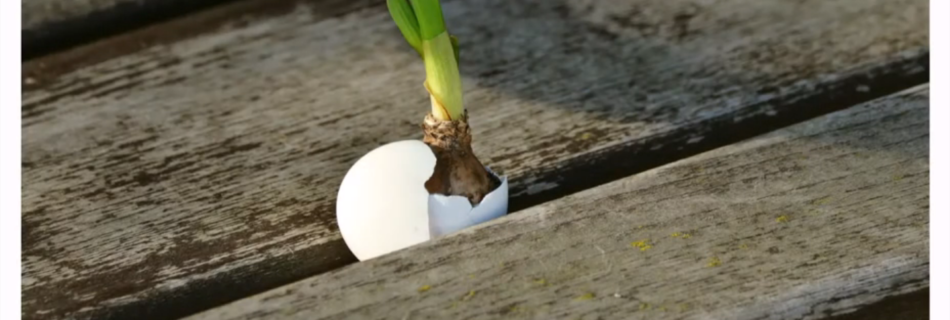 Transformación: Domingo de Pascua