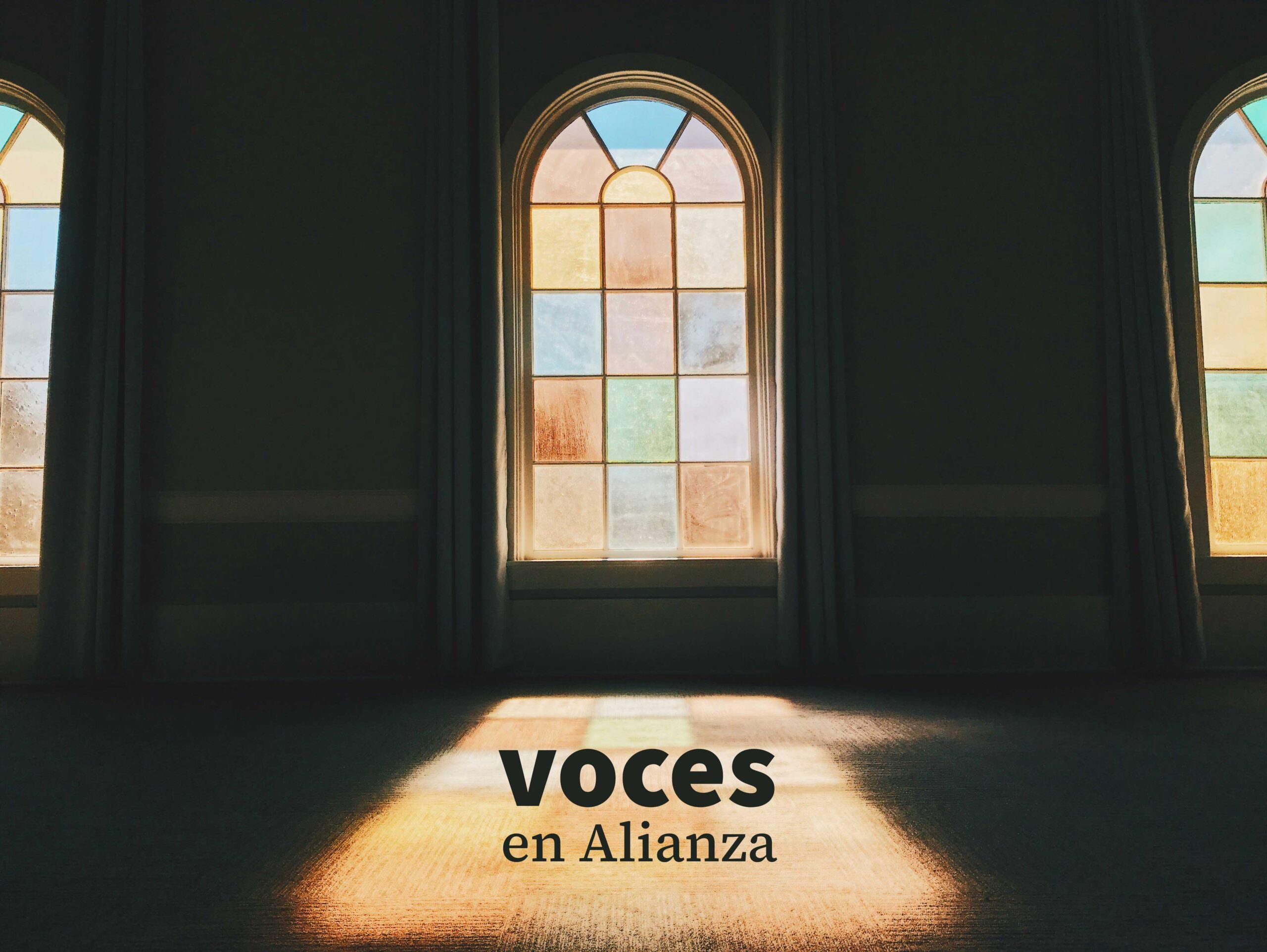 Voces en Alianza Nº2