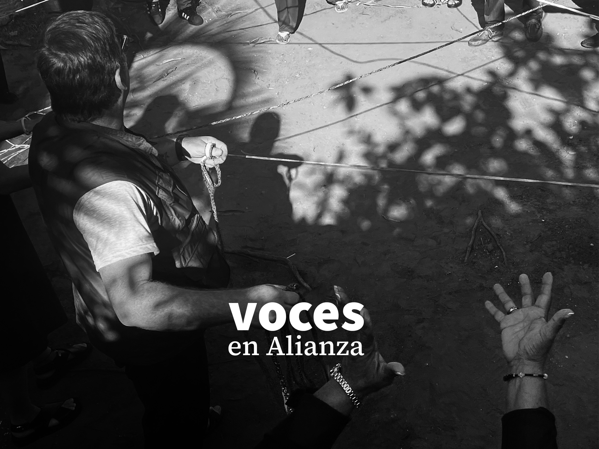 Voces en Alianza Nº4